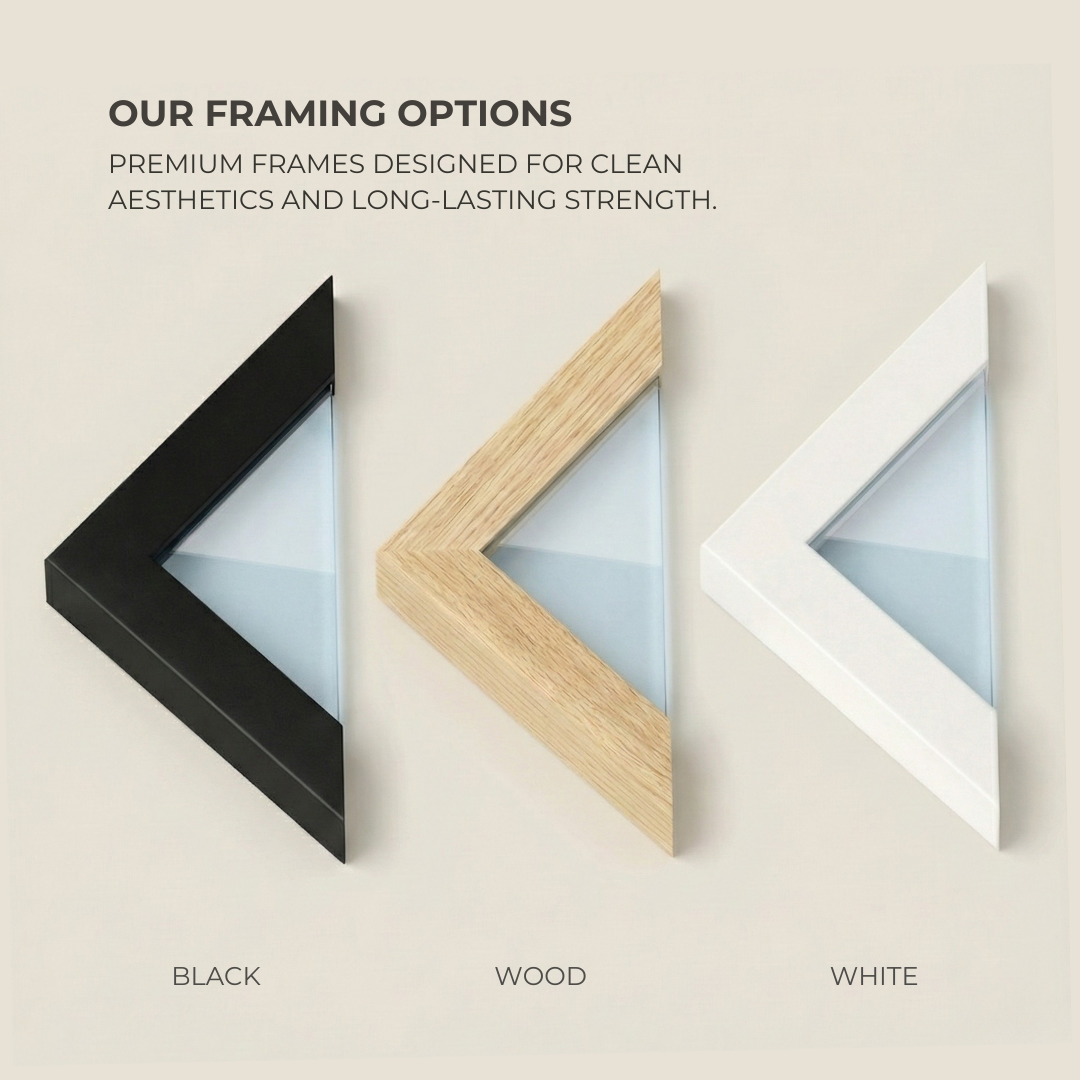 Chase Field - Patent Art Detailed
