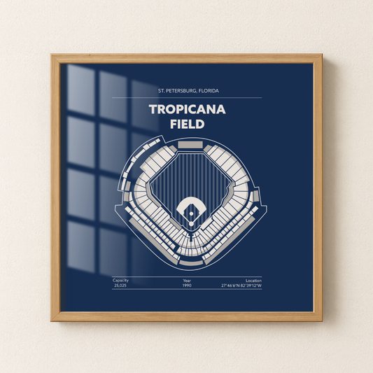 Tropicana Field - Signature Detailed