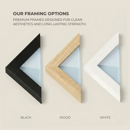 GLOBE LIFE FIELD STADIUM Signature - Detailed