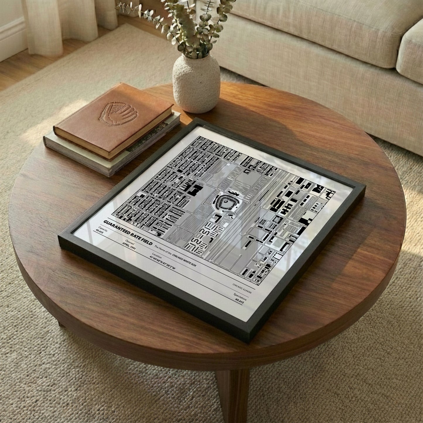 Guaranteed Rate Field - Aerial Detailed