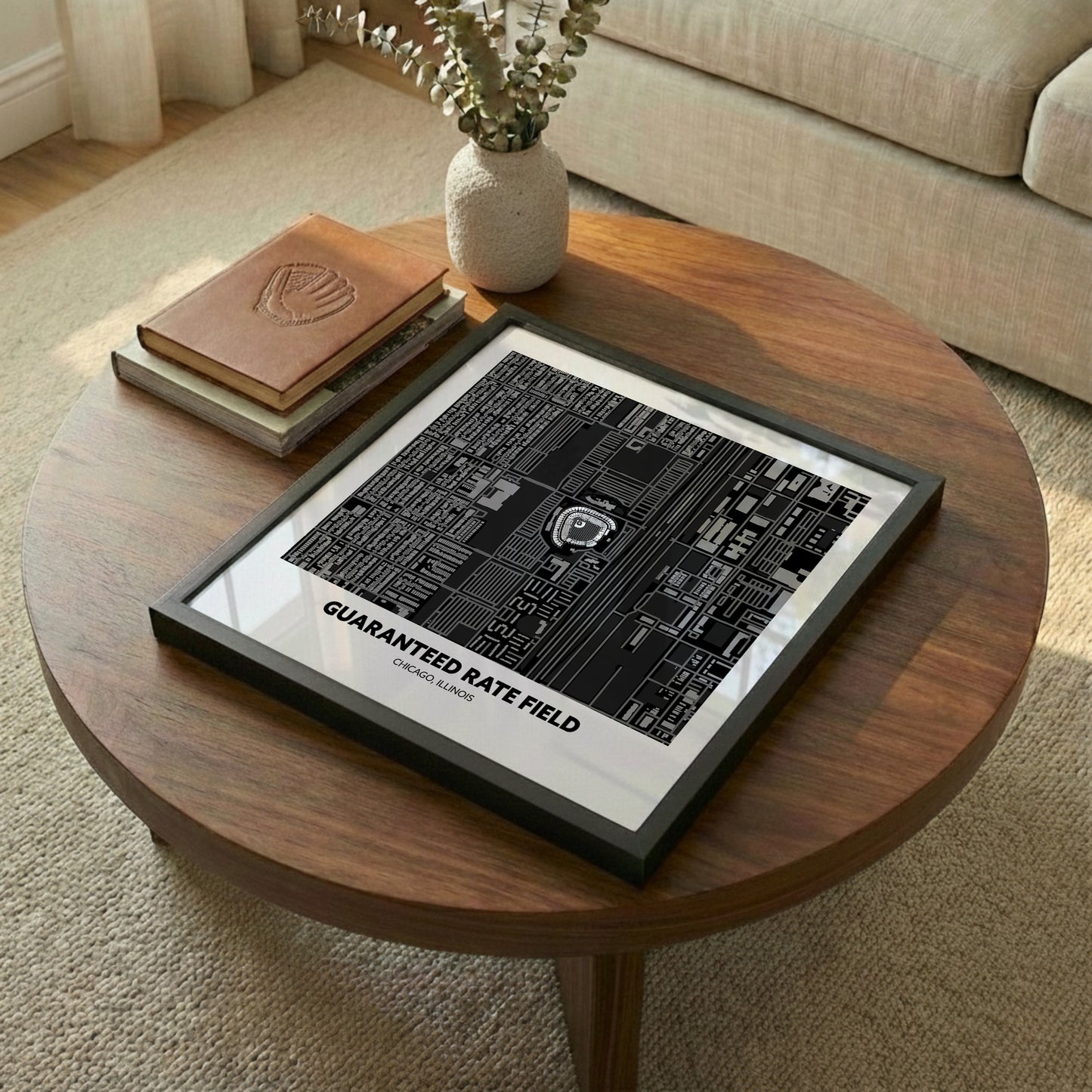 Guaranteed Rate Field - Aerial Minimal