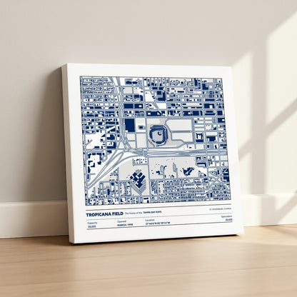 Tropicanca Field - City Map Light