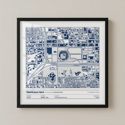 Tropicanca Field - City Map Light