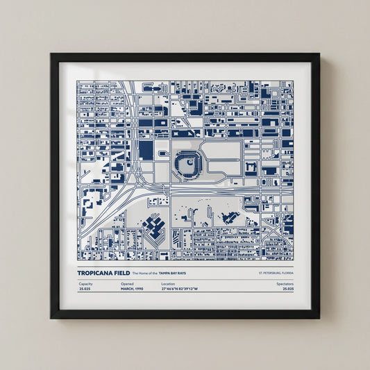 Tropicanca Field - City Map Light