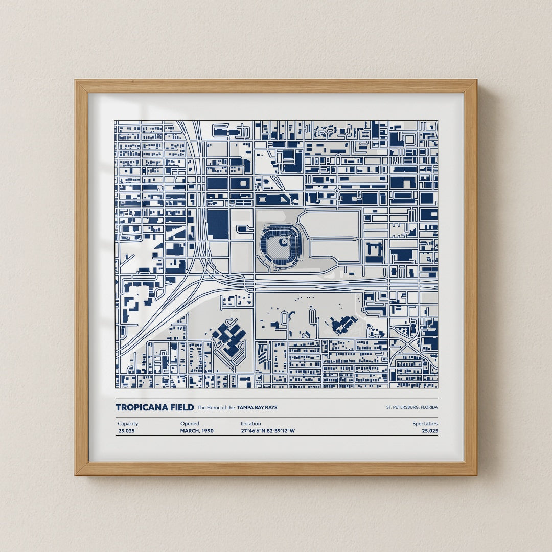 Tropicanca Field - City Map Light
