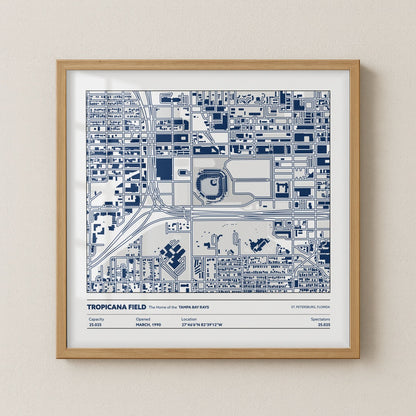 Tropicanca Field - City Map Light
