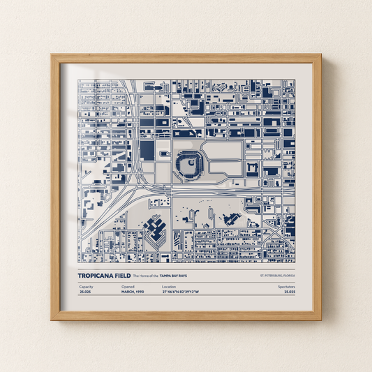 Tropicana Field - Aerial Detailed