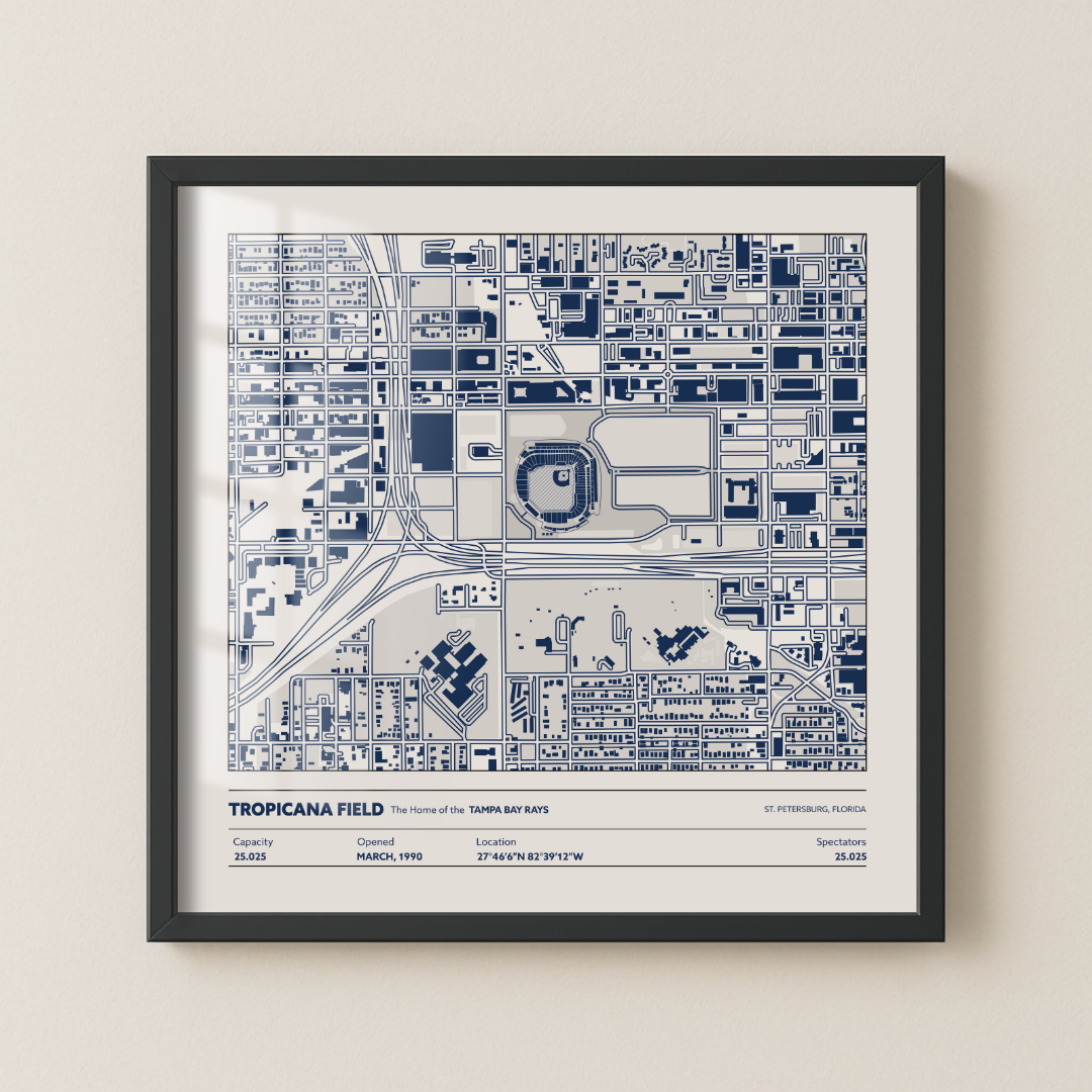 Tropicana Field - Aerial Detailed