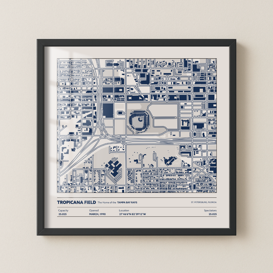 Tropicana Field - Aerial Detailed