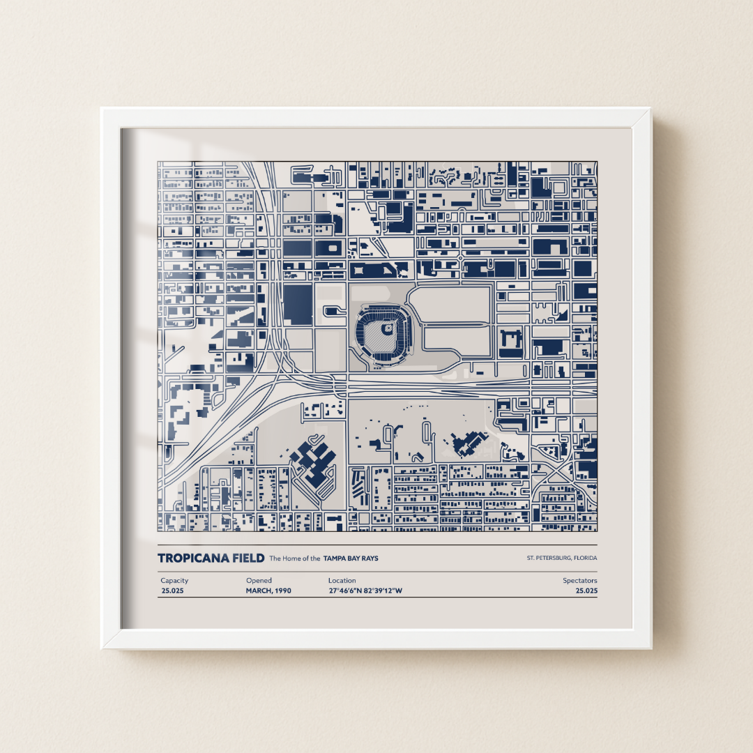 Tropicana Field - Aerial Detailed
