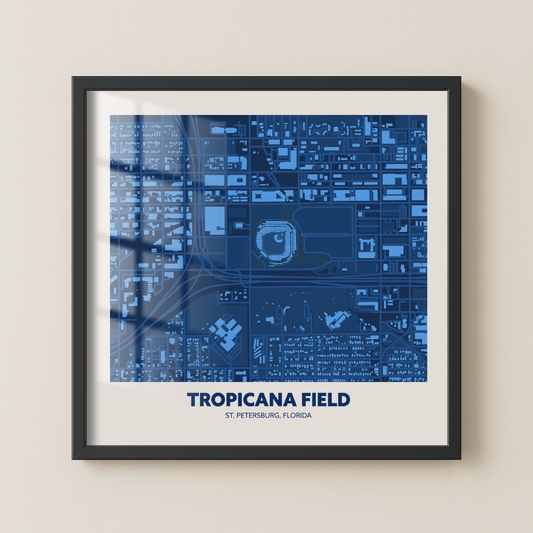 Tropicana Field - Aerial Minimal