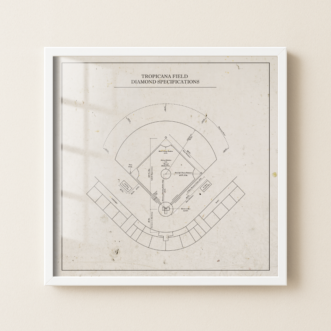 Tropicana Field - Patent Detailed