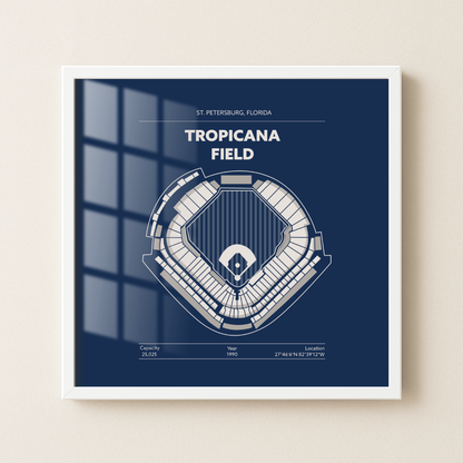 Tropicana Field - Signature Detailed